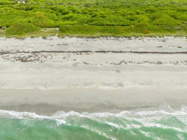 2023 yazında Florida Jüpiter Adası 'ndaki kum üzerinde uçan kaplumbağa izleri var.