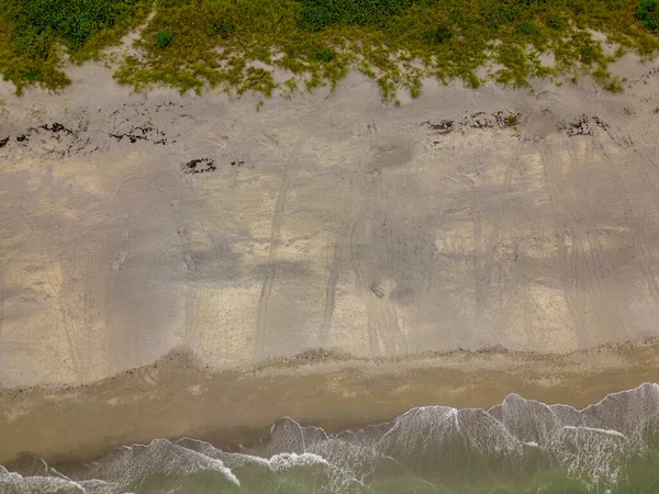 stock image Turtle nesting season Florida Loggerhead tracks on the sand summer solstice 2023 aerial photo