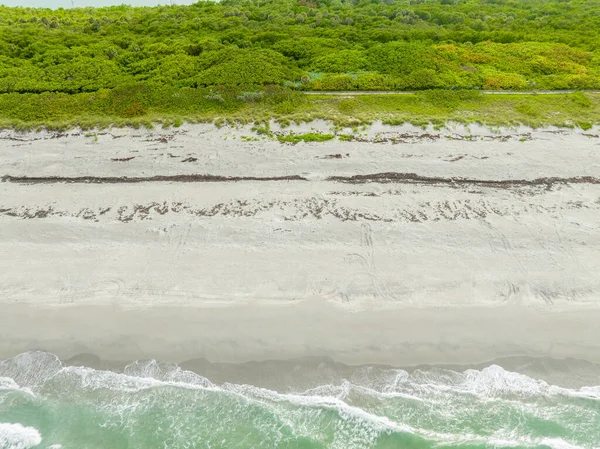 Aerial Photo Loggerhead Turtle Tracks Sand Jupiter Island Florida Nesting — Stock Photo, Image