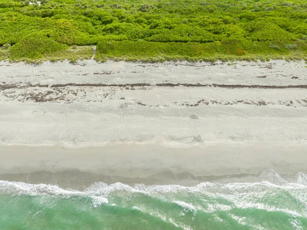 空中写真Loggerhead Turtle Track The砂木星島フロリダ営巣シーズン夏2023 — ストック写真