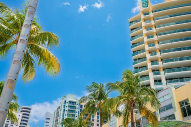 Miami Plajı Tropikal Varış Yeri