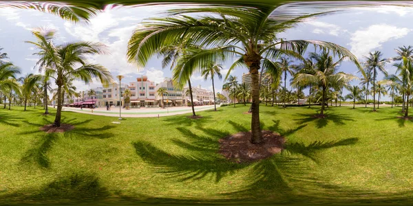 Lummus Park Miami Palmiye Sahası — Stok fotoğraf