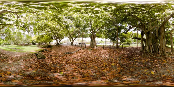 360 Равноугольных Фотографий Schenley Park Miami Рядом Корал Гейблс — стоковое фото