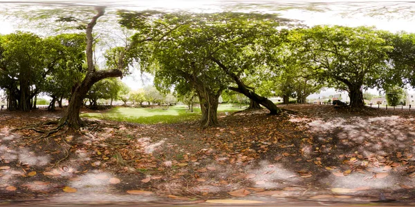 360 Equirectangular Photo Schenley Park Miami Coral Gables — Stock Photo, Image