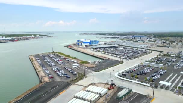 Letecké Drone Video Royal Caribbean International Terminal Port Galveston Texas — Stock video