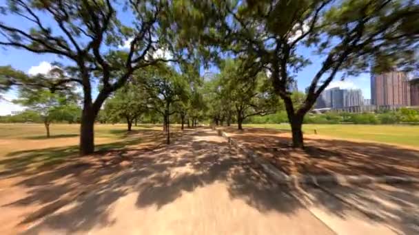 Bike Jog Run Trail Butler Metro Park Austin Texas — Stock Video