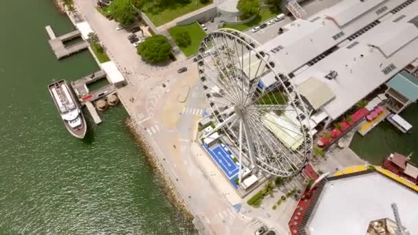 Flygfoto Video Miami Skyviews Pariserhjul Bayside Marketplace 2023 Sommar — Stockvideo