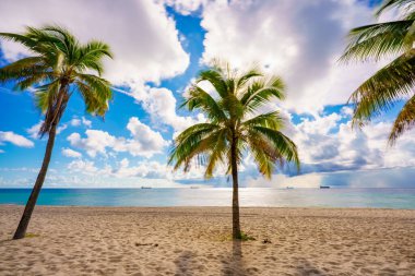 Fort Lauderdale Sahili FL 'de tropik yaz palmiyeleri ya da Miami olabilir.