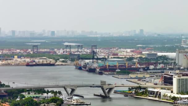 Εναέρια Στενή Γωνία Τηλεφακό Κλιπ Port Everglades Καλοκαίρι 2023 — Αρχείο Βίντεο
