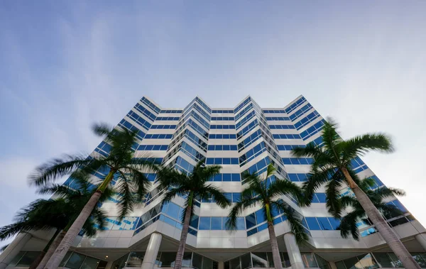 Low angle wide photo office building with palms. Long exposure with motion blur in trees