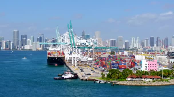 Miami Beach Usa September 2023 Aerial Medium Shot Port Miami — стоковое видео