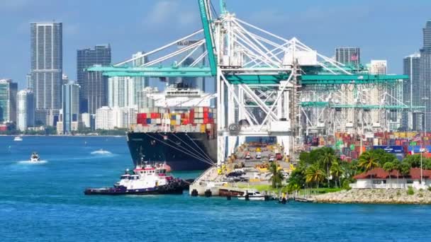 Miami Beach Floride États Unis Septembre 2023 Déchargement Cargo Vidéo — Video