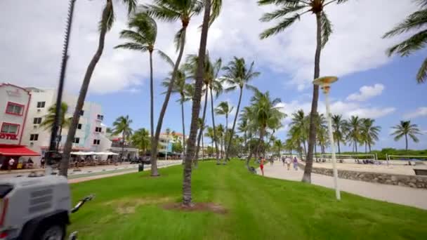 Miami Beach Usa September 2023 2023 Stock Video Miami Beach — Stockvideo