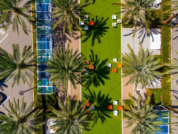 Luchtfoto Overhead Drone Van Een Ontspanningsterras Met Palmen Meubels — Stockfoto