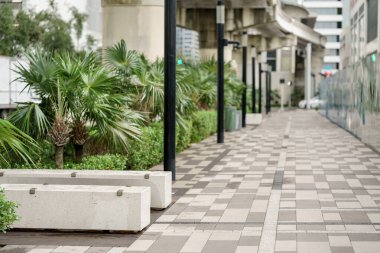 Miami 'de manzaralı bir yürüyüş sahnesi.