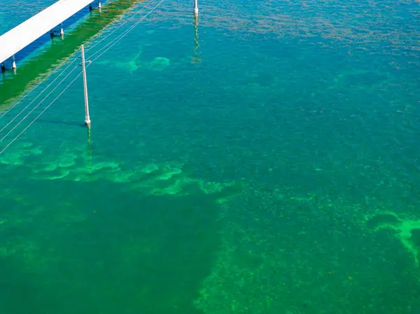 7マイルブリッジフロリダキーズ近くの航空写真のサンゴ礁水 — ストック写真