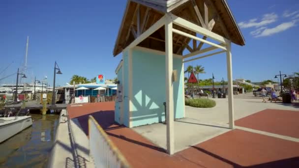 Key West Usa Oktober 2023 Motion Video Turné Dockmaster Marina – stockvideo