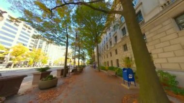 Washington, DC, ABD - 21 Ekim 2023: Washington DC kaldırım pov 2023