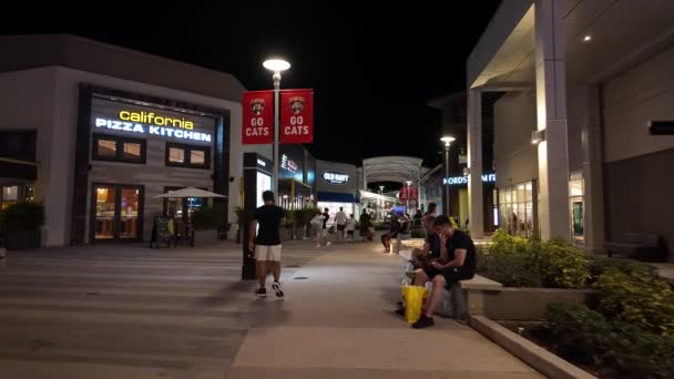 Санрайз Флорида Сша Ноября 2023 Года Sawgrass Mills Mall Walking — стоковое видео