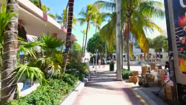 Miami Beach Usa Noviembre 2023 Recorrido Pie Miami Beach Florida — Vídeos de Stock