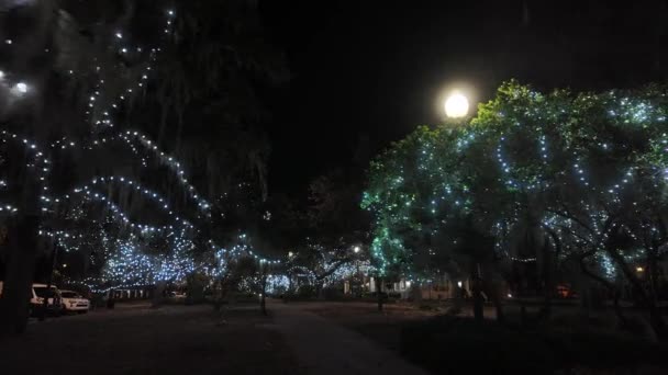 Caminar Por Parque Con Luces Navideñas Por Noche — Vídeo de stock