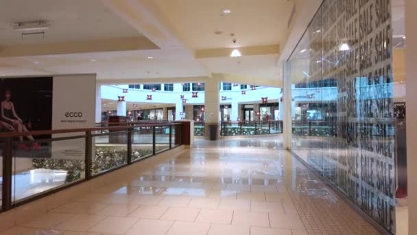 Aventura Usa Grudnia 2023 2023 Zwiedzanie Aventura Mall Świąteczne Dekoracje — Wideo stockowe