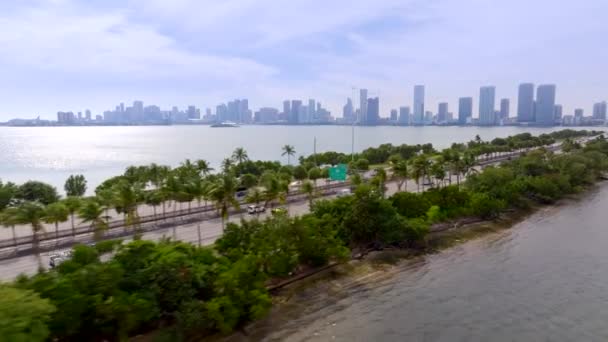 Деревянный Пейзаж Дамбе Джулии Таттл Miami Beach Видом Центр Города — стоковое видео