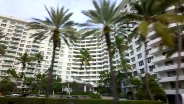 ストックビデオ コリンズアベニューで見られるマイアミビーチコンドミニアムとヤシの木 — ストック動画
