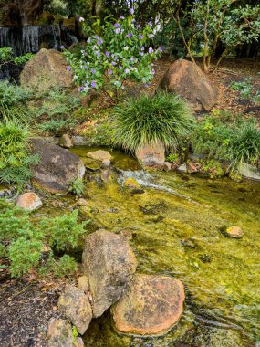 Taşlı bir gölet nehrinin stok fotoğrafı.