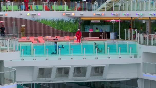 マイアミ アメリカ 2024 クルーズ船でプールで泳ぐ女性を撮影または撮影する写真家 — ストック動画