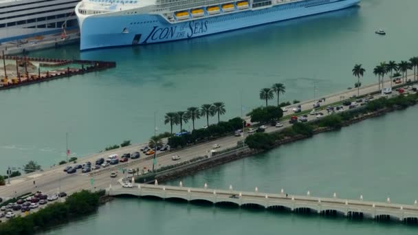 Miami Usa Ledna 2024 Aerial Stock Video Royal Caribbean Icon — Stock video