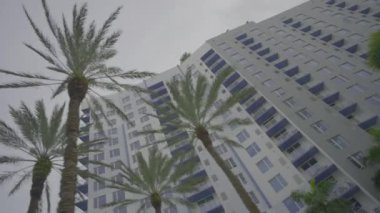 Palmiyeli bir binanın eğik videosu