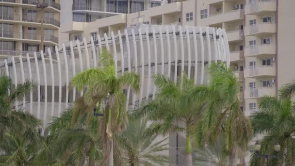 Palmeras Arquitectura Abstracta Fort Lauderdale Hdr Vídeo Filmado Prores Crudos — Vídeo de stock