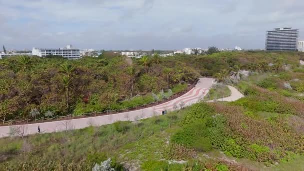 Rekaman Drone Udara Miami Beach North Beach Park — Stok Video