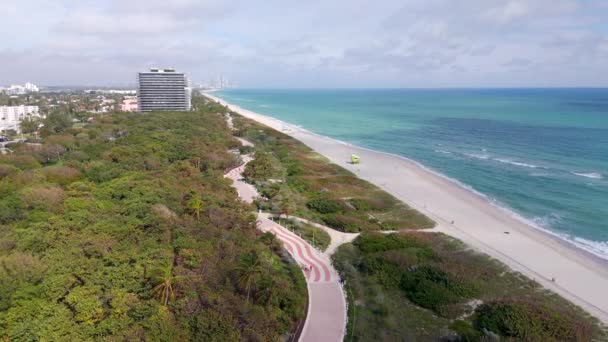 Letecké Drone Video North Beach Oceanside Park Leden 2024 — Stock video