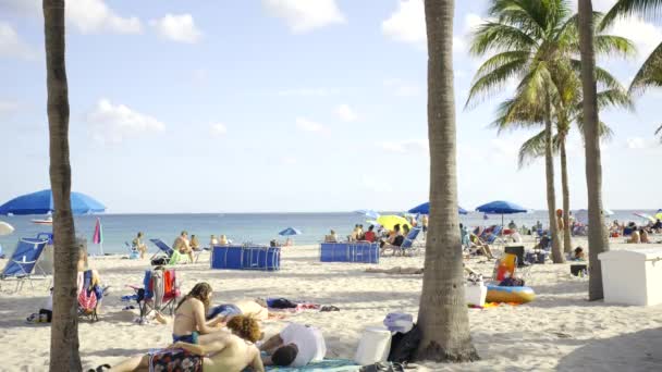 Fort Lauderdale Usa 2024 Január Hdr Videó Január Florida Mov — Stock videók