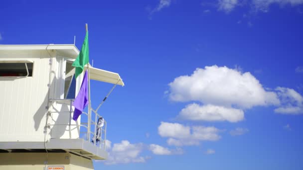 Hdr Vídeo Lifeguard Torre Com Roxo Verde Flag Mov — Vídeo de Stock