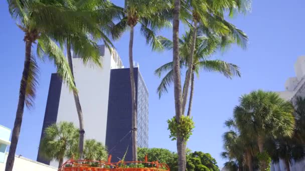 Film Scen Miami Beach Lincoln Road Hdr Prores — Stockvideo
