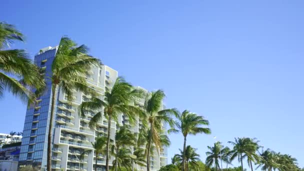 Miami Beach Scen Byggnad Och Palmer Blå Himmel — Stockvideo