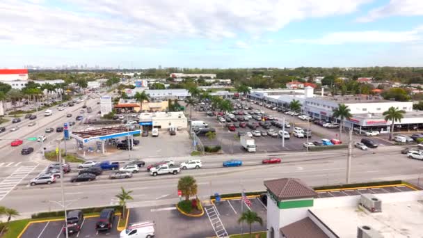 Miami Eua Janeiro 2024 Miami Shopping Plazas 40Th Street Birds — Vídeo de Stock