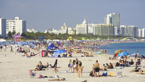 Miami Usa Február 2024 Kerülje Havat Jön Miami Hdr Videó — Stock videók