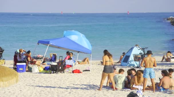 Miami Abd Şubat 2024 Miami Hdr Plajındaki Genç Titreşimler 2024 — Stok video