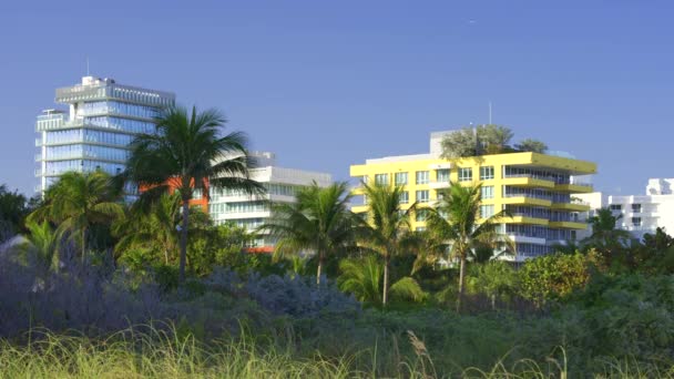 Miami Beach Scen Sanddyner Och Strandnära Byggnader Hdr — Stockvideo