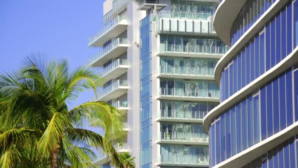 Miami Cena Edifícios Com Palmas Hdr Tiro Prores Cru — Vídeo de Stock