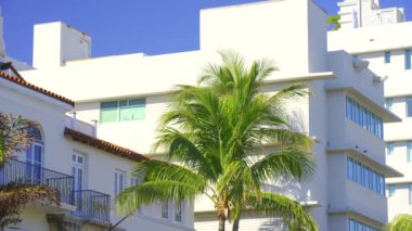 Miami Beach binaları ve palmiyeler mavi gökyüzü 4k HDR görüntüleri