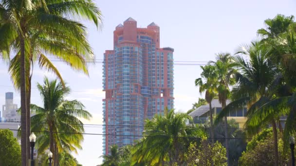 Miami Abd Şubat 2024 Portofino Miami Beach Pembe Kulesi Hdr — Stok video