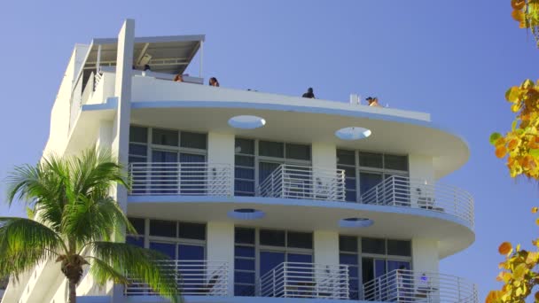 Miami Usa Februari 2024 Palace Hotel Miami Beach Takterrass Och — Stockvideo