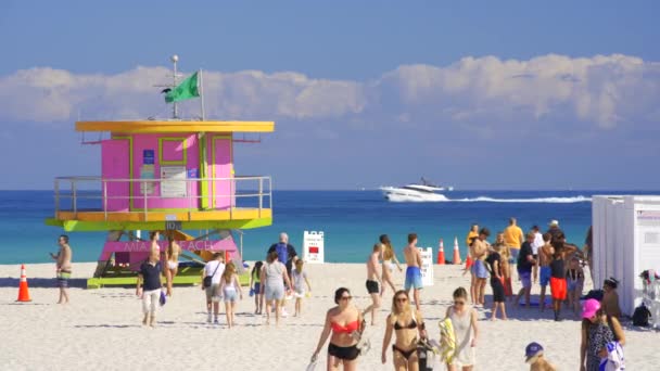 Майами Штат Флорида Сша Февраля 2024 Года Спасательная Вышка Miami — стоковое видео