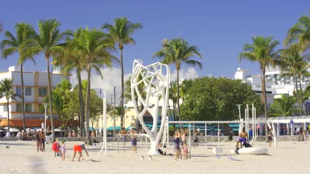 Miami Usa February 2024 Muscle Beach Miami 2024 Hdr Video — Stock Video
