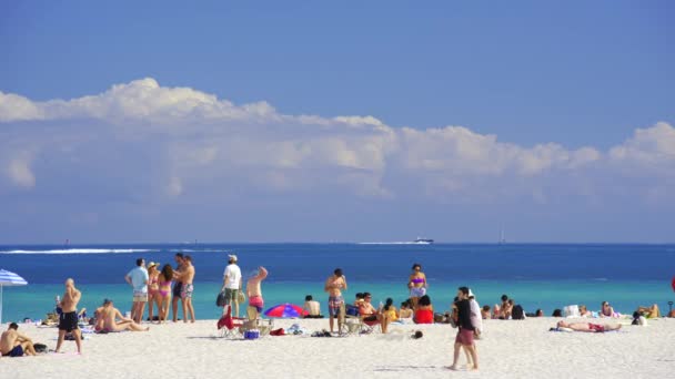 Miami Usa February 2024 Tourists Beach Miami Hdr Stock Video — Stock Video